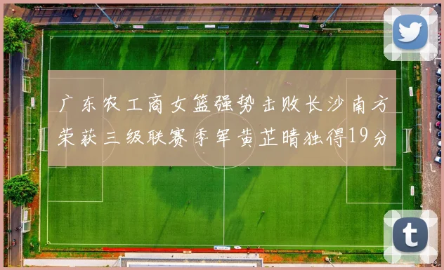 广东农工商女篮强势击败长沙南方荣获三级联赛季军黄芷晴独得19分助力胜利