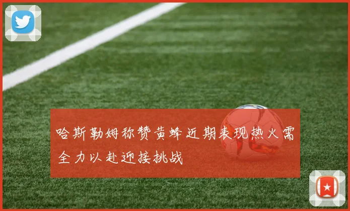 哈斯勒姆称赞黄蜂近期表现热火需全力以赴迎接挑战