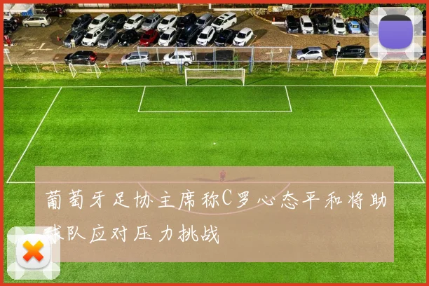 葡萄牙足协主席称C罗心态平和将助球队应对压力挑战